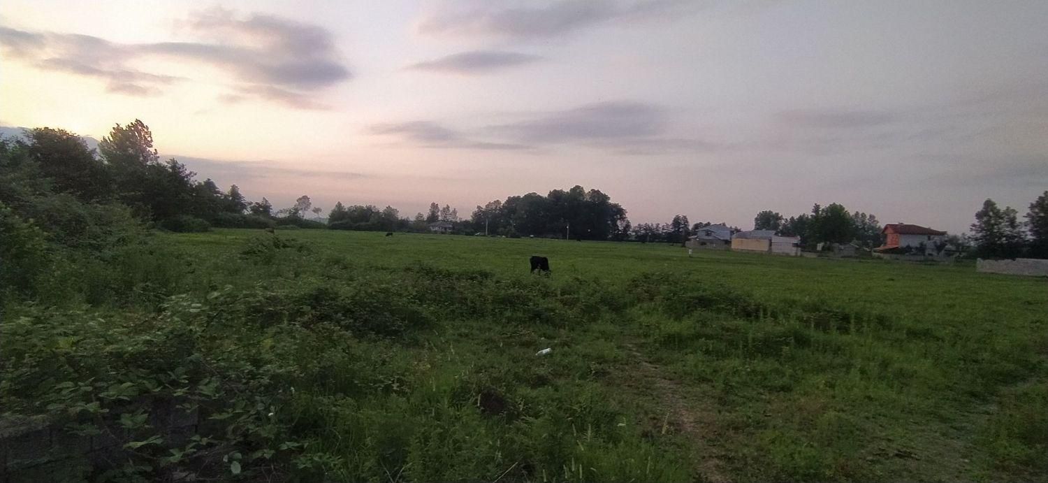 فروش زمین سند دار مجوز ساخت ۳۰۰ متری در فومن|فروش زمین و ملک کلنگی|رشت, نامجو|دیوار