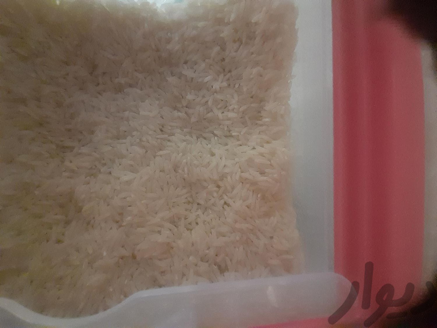 برنج طارم هاشمی|حراج|تهران, کن|دیوار