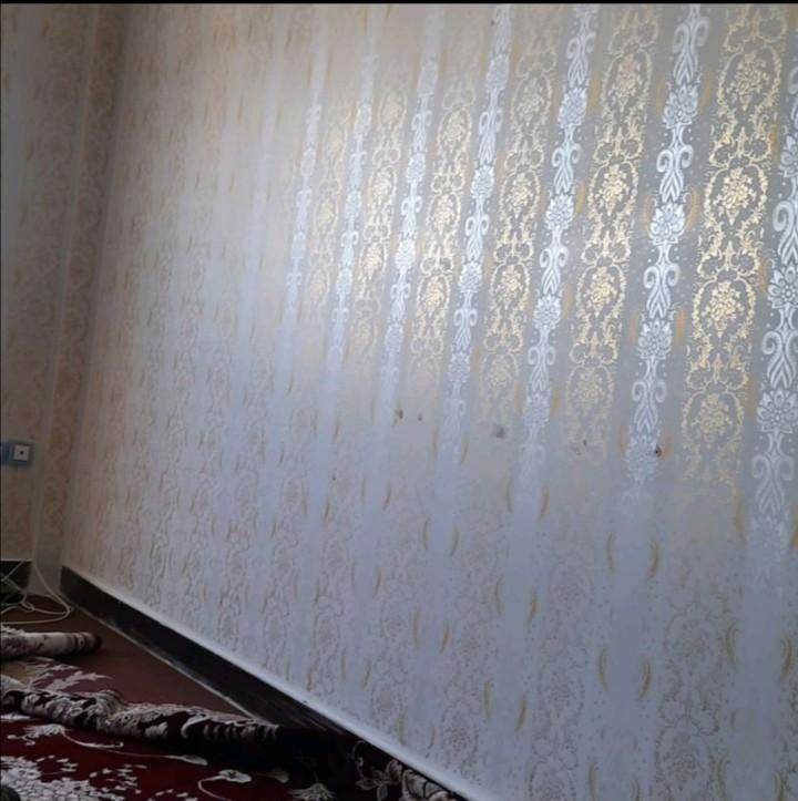 نقاشی ساختمان وطرح کاغذدیواری|خدمات پیشه و مهارت|آستانه اشرفیه, |دیوار