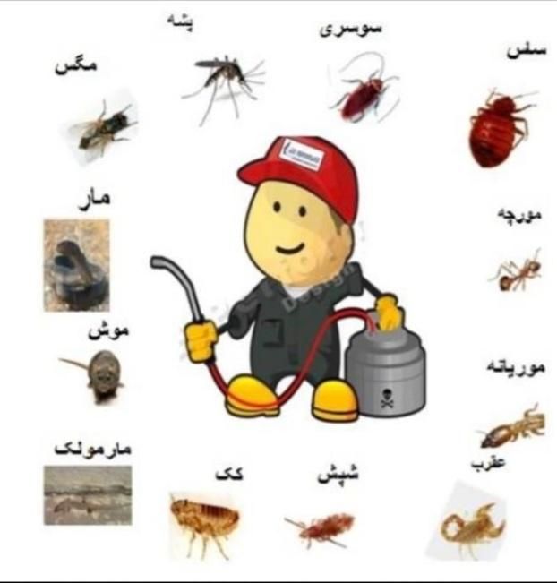 شرکت خدماتی وشستشویی مبل،کولر وسمپاشی|خدمات نظافت|بندرعباس, |دیوار