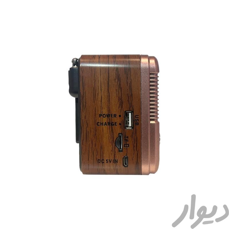 رادیو بلوتوثی گولون مدل RX-BT6060S|پخش‌کننده همراه|اصفهان, هشت بهشت|دیوار