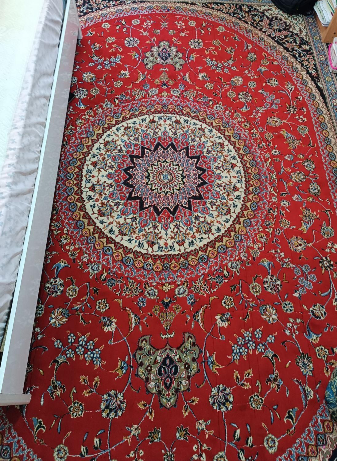 دو تخته فرش مناسب باغ|فرش|شیراز, معالی‌آباد|دیوار