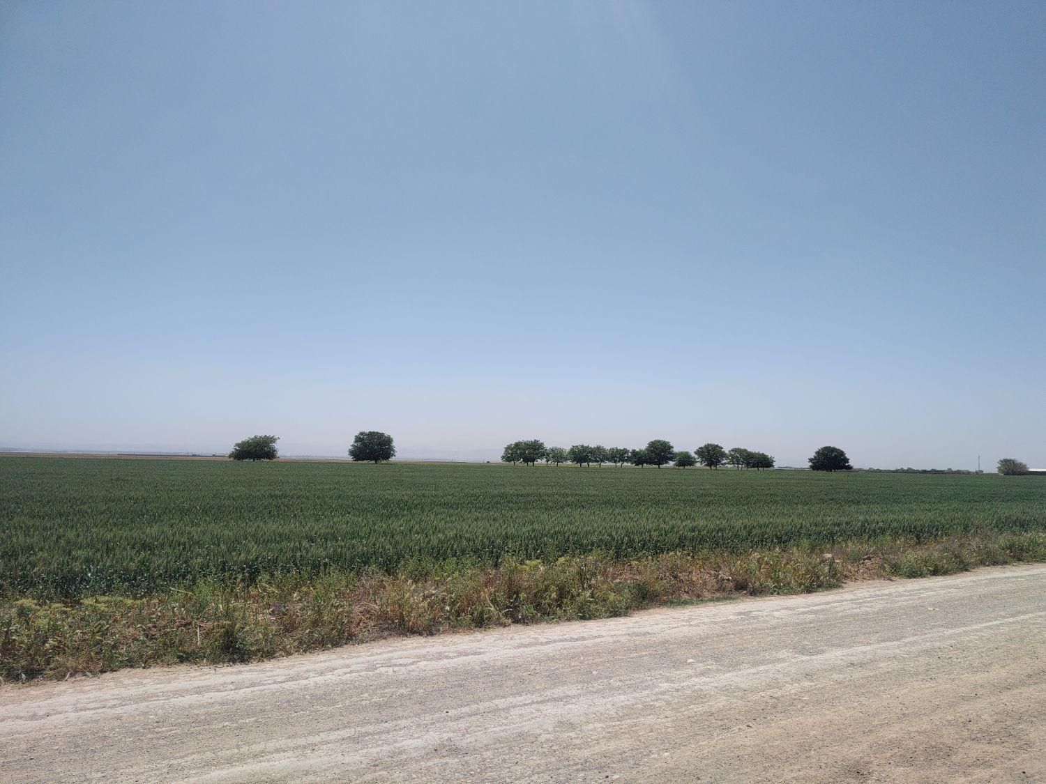 فروش زمین ۱۰۰۰ متری در روستای هلالی برزش آباد|فروش زمین و ملک کلنگی|مشهد, پنجتن|دیوار
