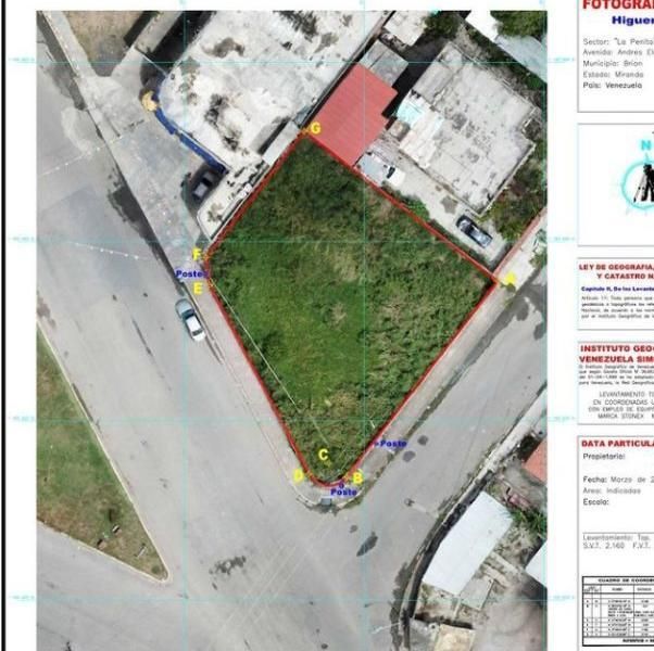 خدمات مهندسی نقشه برداری( UTM - تفکیک - ترازیابی )|خدمات پیشه و مهارت|ملارد, |دیوار