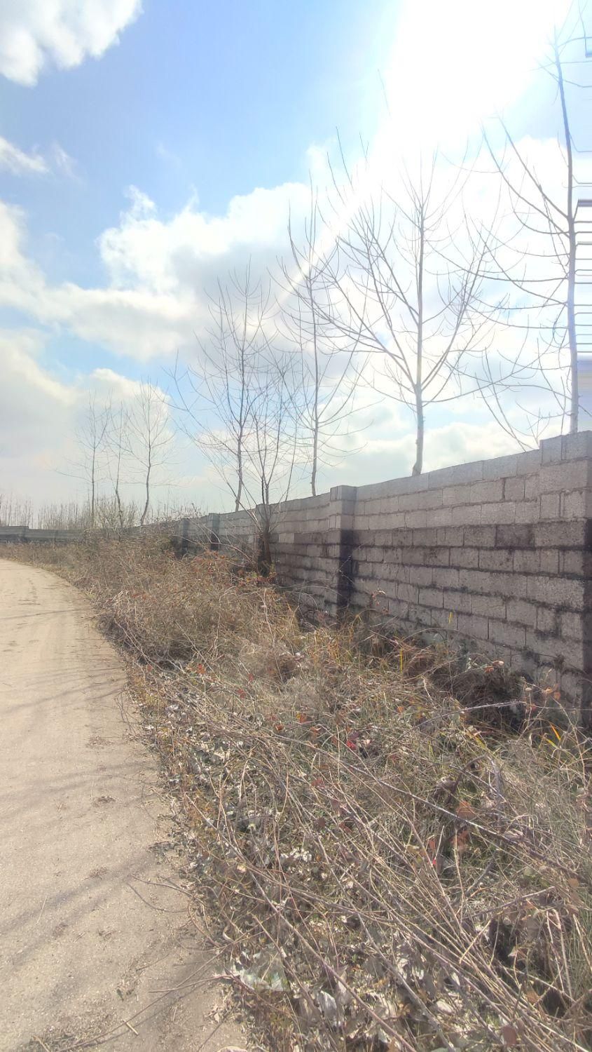 زمین سند دار شهرک صدف منطقه آزاد زیباکنار|فروش زمین و ملک کلنگی|خمام, |دیوار