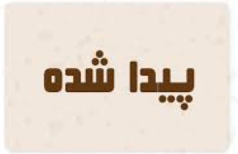 طلا پیدا شده|اشیا|تهران, فردوسی|دیوار