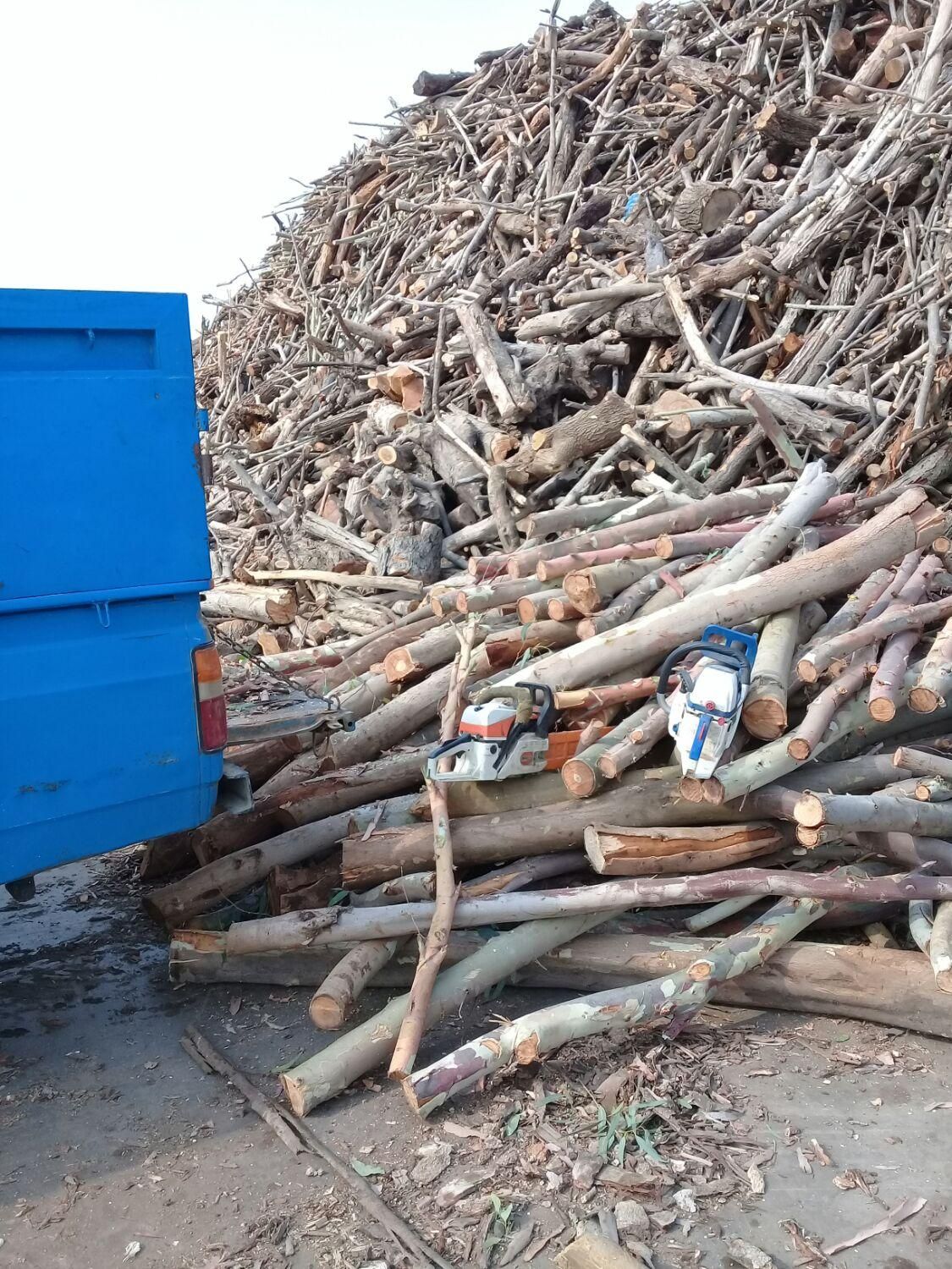 خریدار چوب درخت خرید چوب|خدمات باغبانی و درختکاری|گرگان, |دیوار