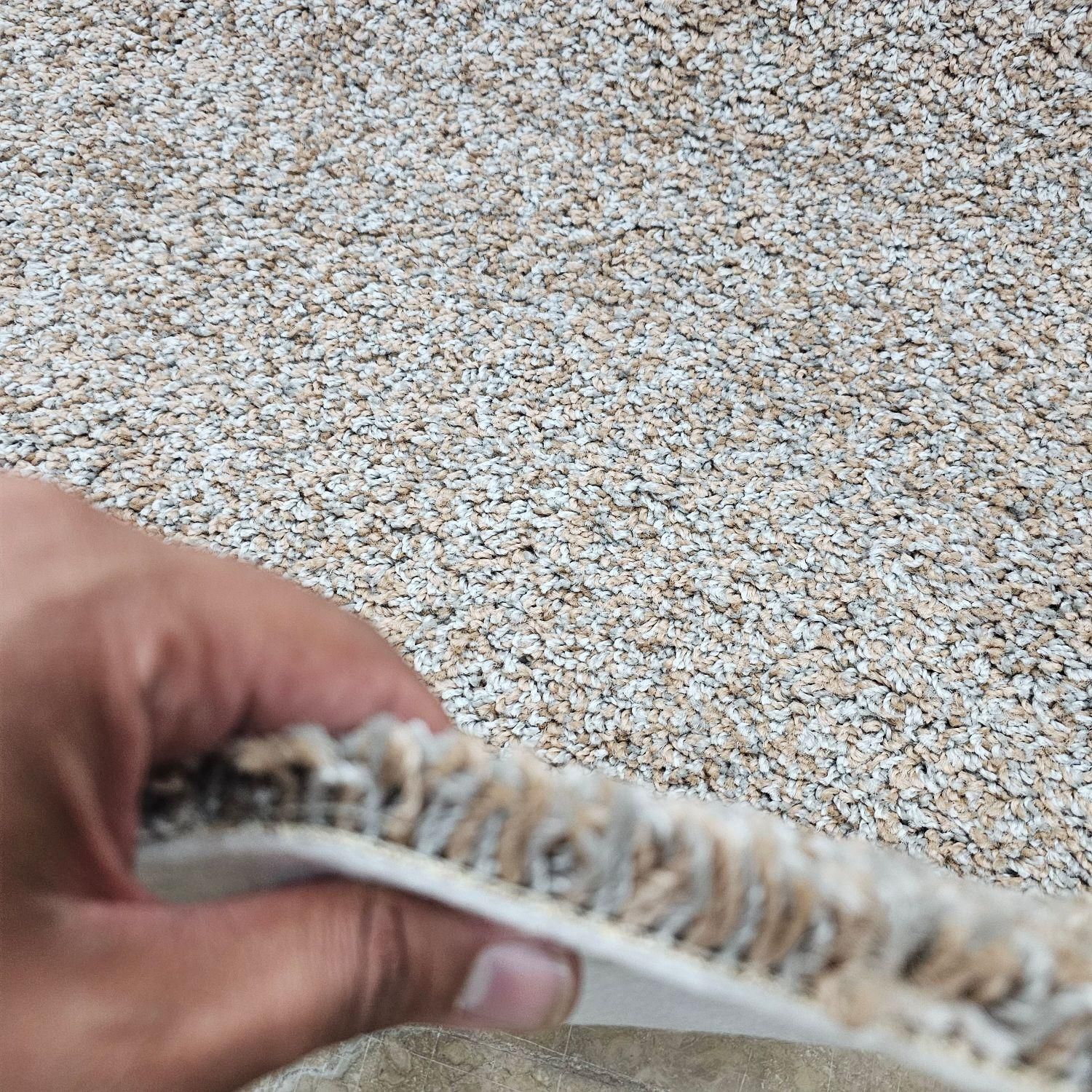 (( موکت پُرز بلند ظریف مصور ))|موکت|مشهد, توس (بلوار توس)|دیوار