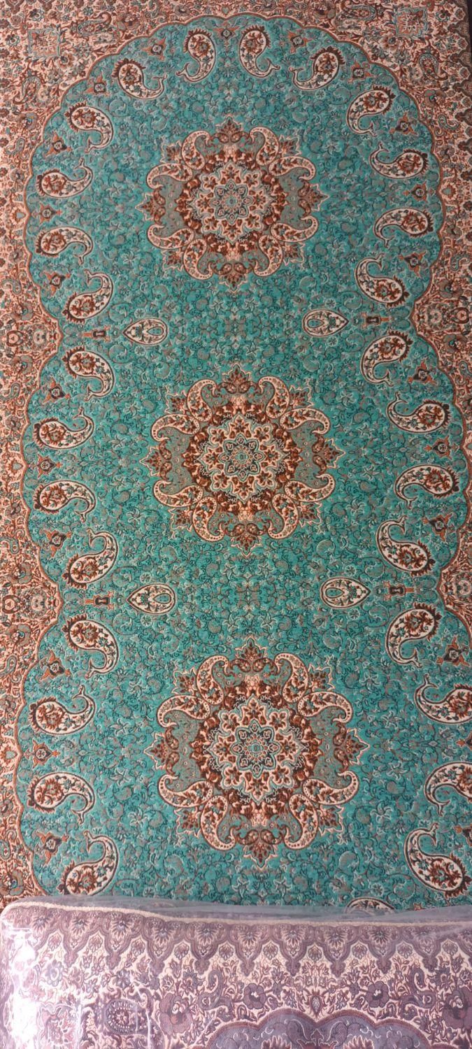 تشک تک شاه نشین در رنگ بندی|پشتی|یزد, |دیوار