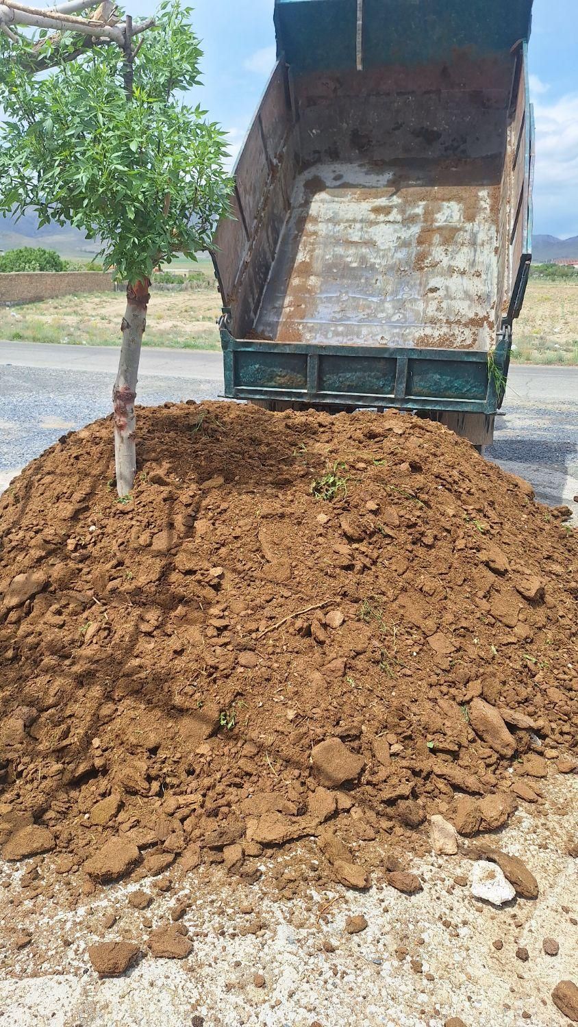 حمل کودگاوی گوسفندی|خدمات باغبانی و درختکاری|اراک, |دیوار