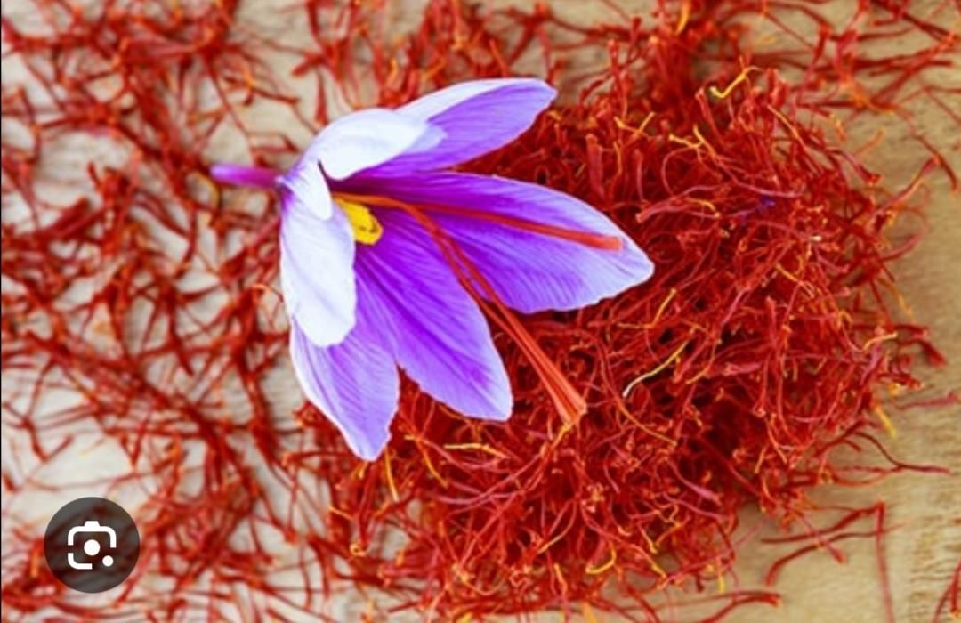 زعفران ممتاز خراسان|خوردنی و آشامیدنی|اصفهان, بوستان آینه خانه|دیوار
