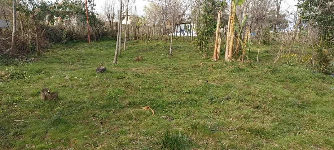زمینی مسکونی در روستای شالما و روستای گنجار|فروش زمین و ملک کلنگی|احمدسرگوراب, |دیوار