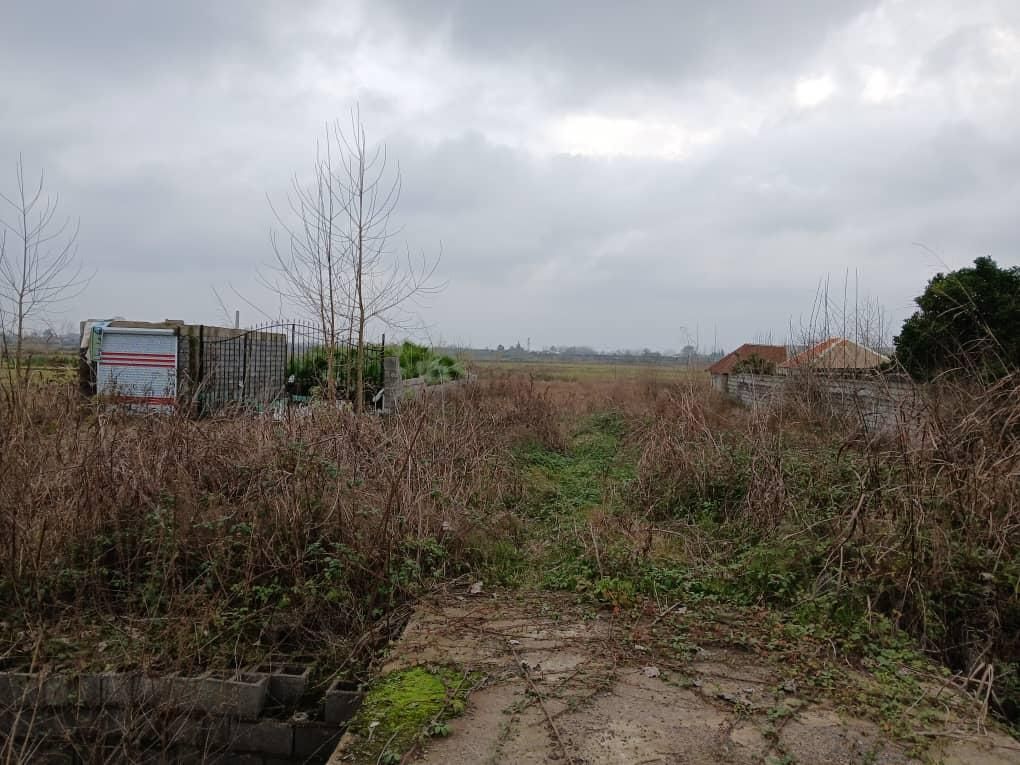 فروش یک قطعه زمین برای سرمایه گذاری|فروش زمین و ملک کلنگی|لشت نشا, |دیوار