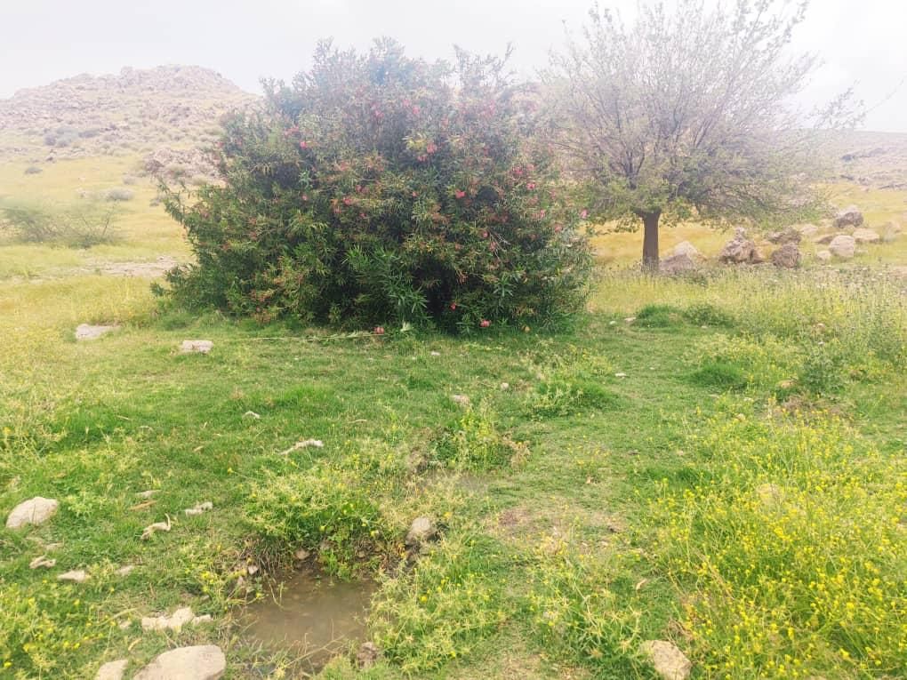 دو قطعه زمین باغ شهری آبپرده ۲۰۰۰ متری با آب|فروش زمین و ملک کلنگی|شیراز, فرهنگ شهر|دیوار