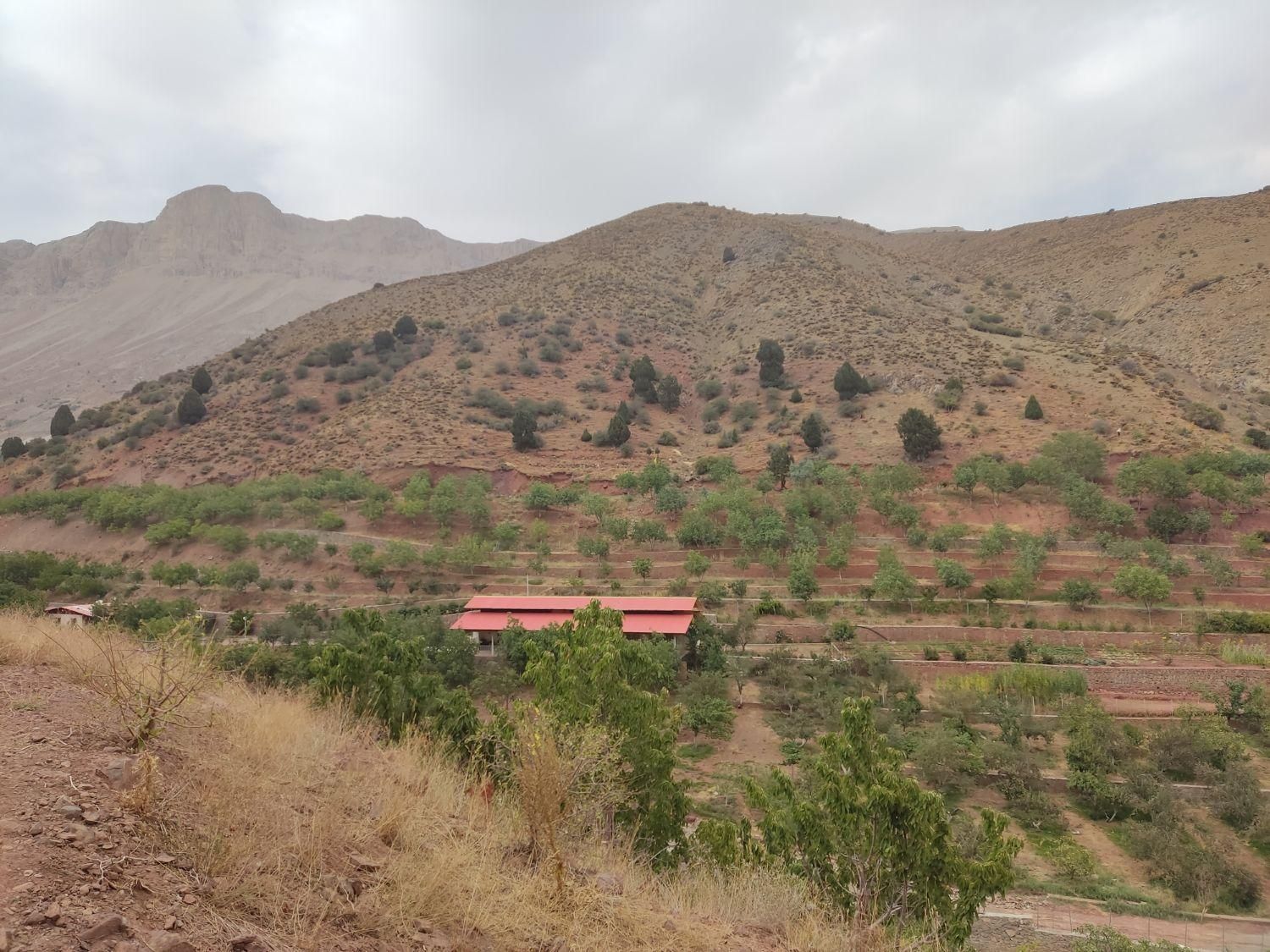 زمین باغ ۸۵۰ متر لواسان بزرگ/جورد/وسکاره/ایرا|فروش زمین و ملک کلنگی|لواسان, |دیوار