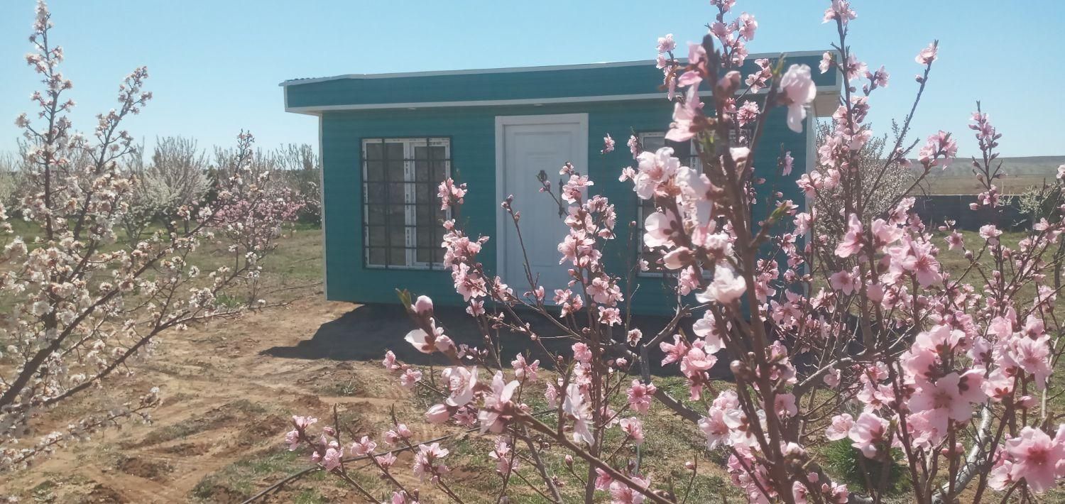 باغچه ۵۰۵ متری سنددار در سهیلیه زعفرانیه،زکی آباد|فروش زمین و ملک کلنگی|کرج, فاز ۲ مهرشهر|دیوار