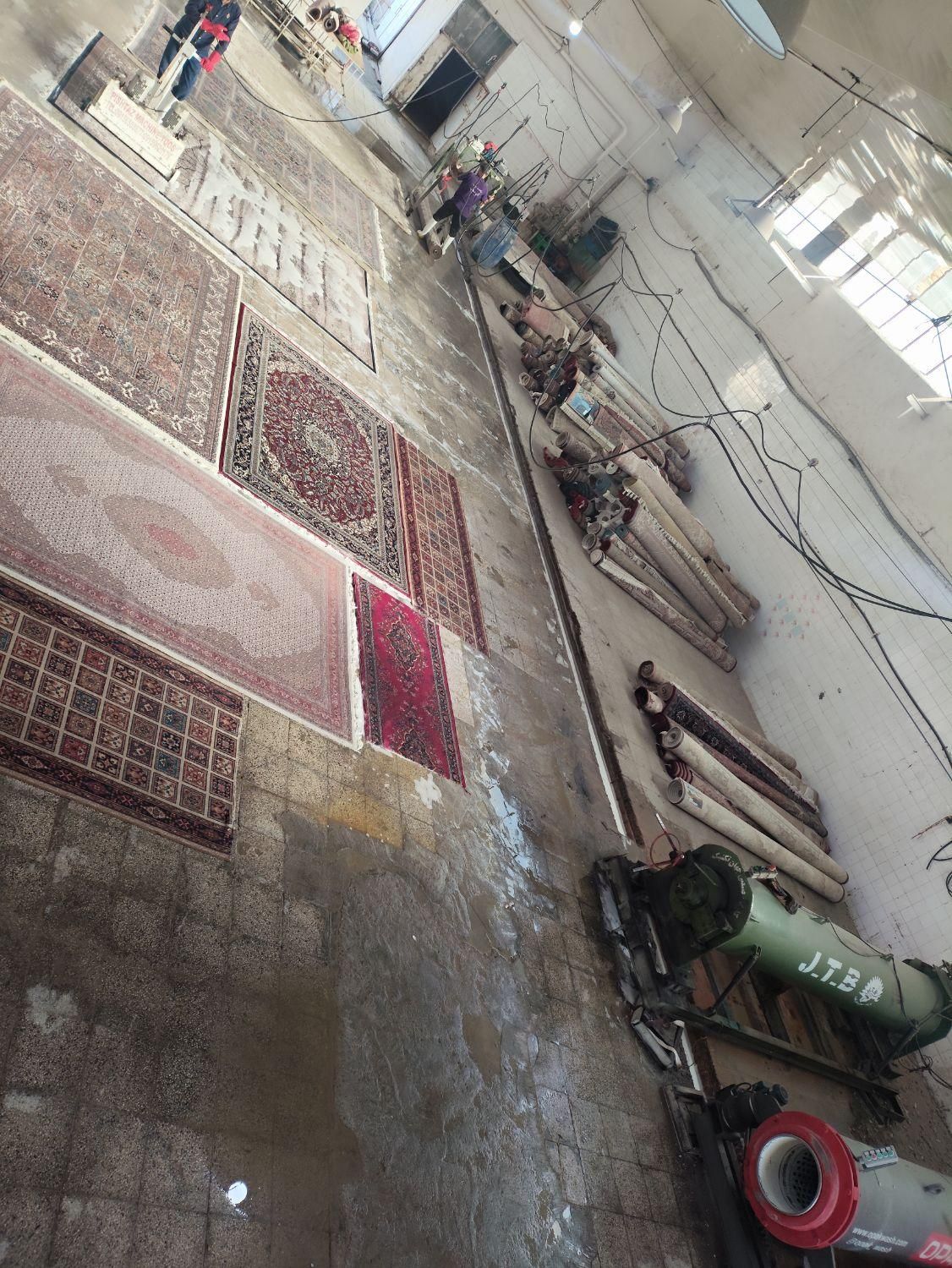 قالیشویی محمد|خدمات نظافت|گلبهار, |دیوار