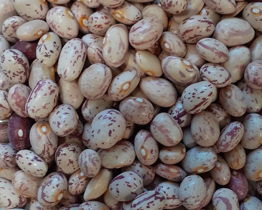 انواع حبوبات لوبیا چیتی لپه برنج|خوردنی و آشامیدنی|اصفهان, ابر|دیوار