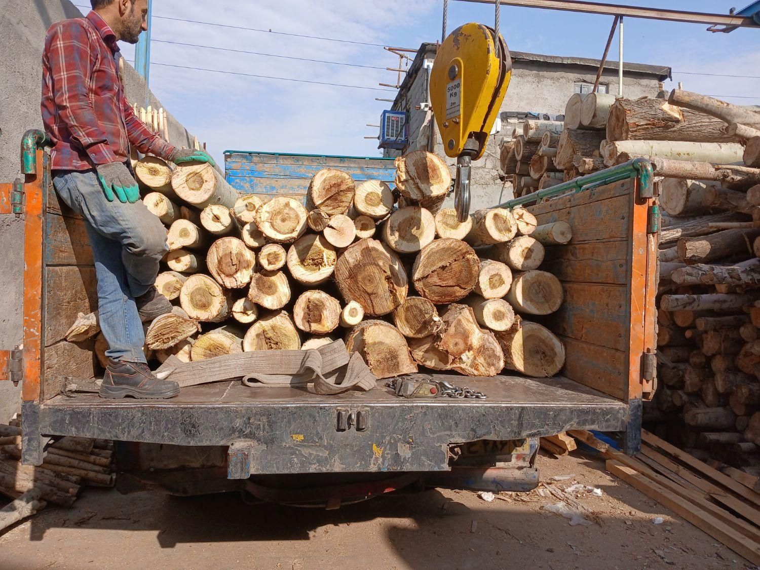 تخته قالب بندی. تخته دفنی تخته زیرپابنایی .قیدمبلی|مصالح و تجهیزات ساختمان|مشهد, نوید|دیوار