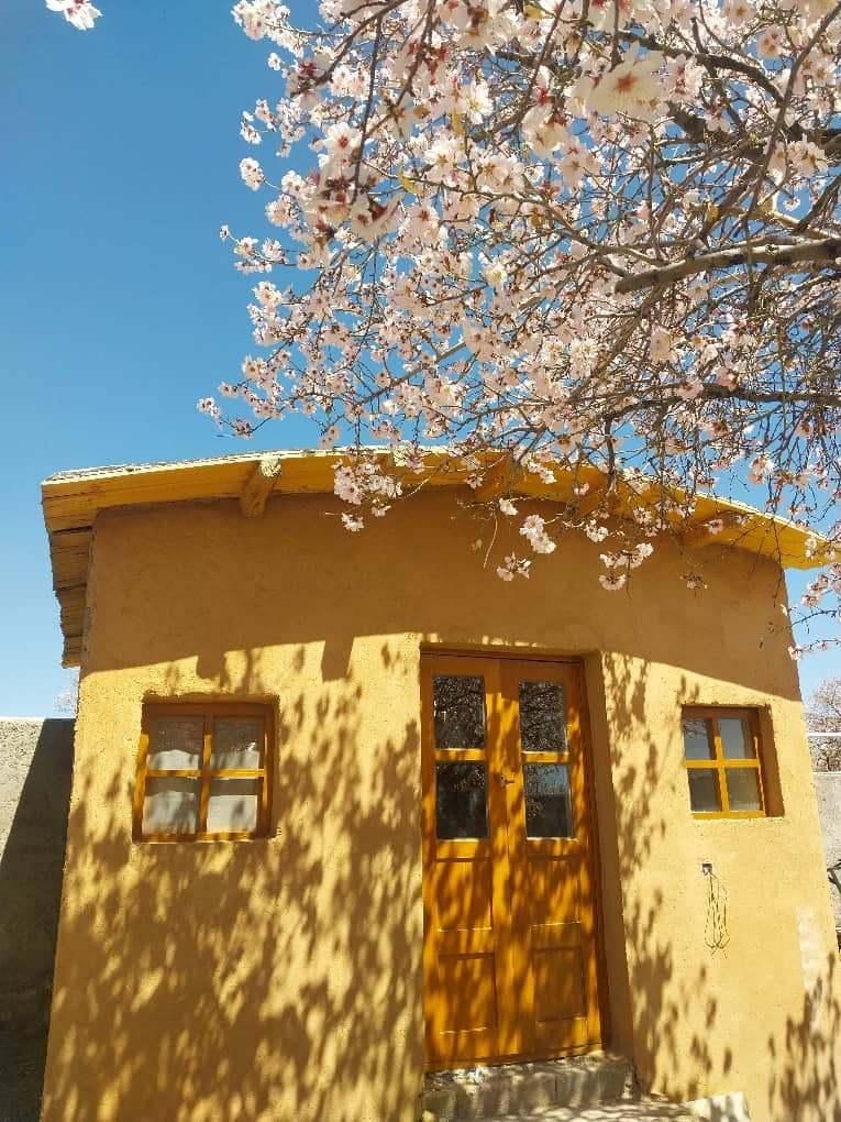 اقامتگاه باغ شاه علی بزنجان|اجارهٔ کوتاه‌مدت آپارتمان و سوئیت|بافت, |دیوار