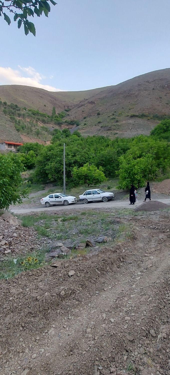 زشک۸۰۰متر زمین باغی بدون شیب بادرختان گردو(معاوضه)|فروش خانه و ویلا|مشهد, بلوار سجاد|دیوار