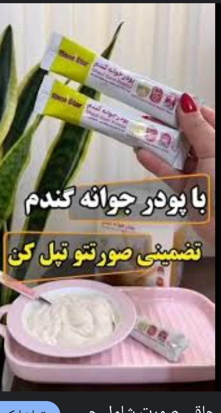 جوانه گندم بین استار اصل بمب واقعی چاقی صورت|آرایشی، بهداشتی، درمانی|شیراز, بنکداران|دیوار