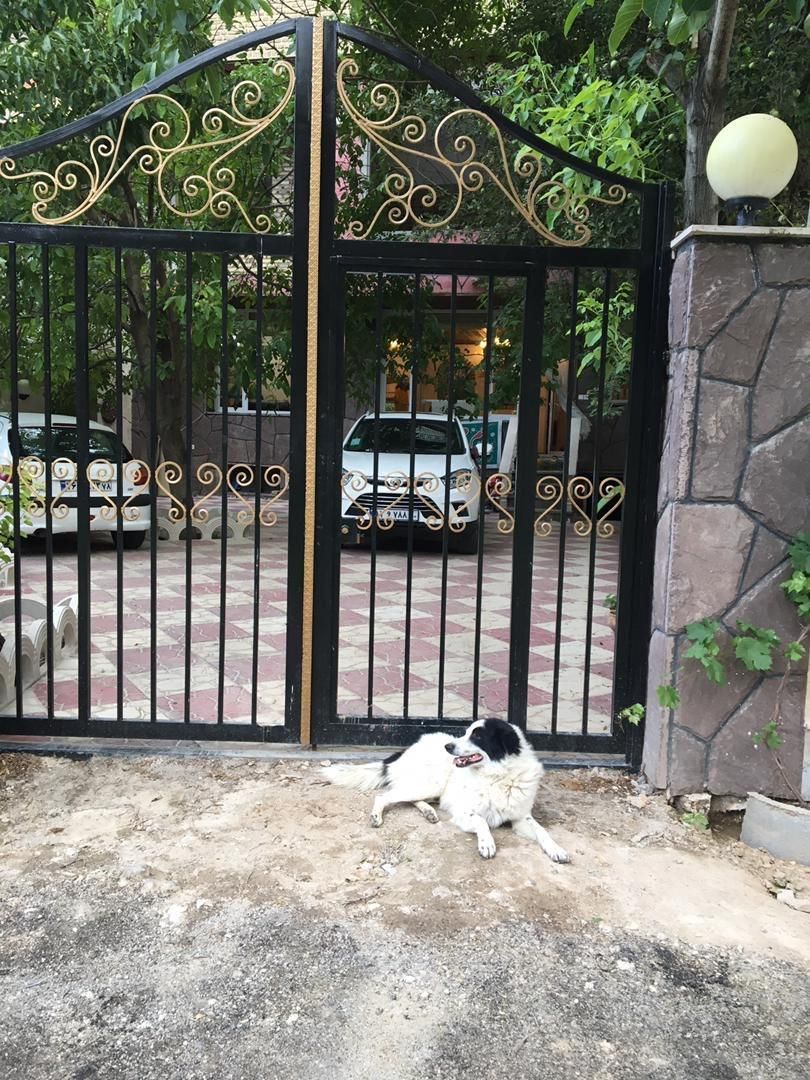 اجاره روزانه ویلا و سوییت|اجارهٔ کوتاهمدت ویلا و باغ|آبعلی, |دیوار