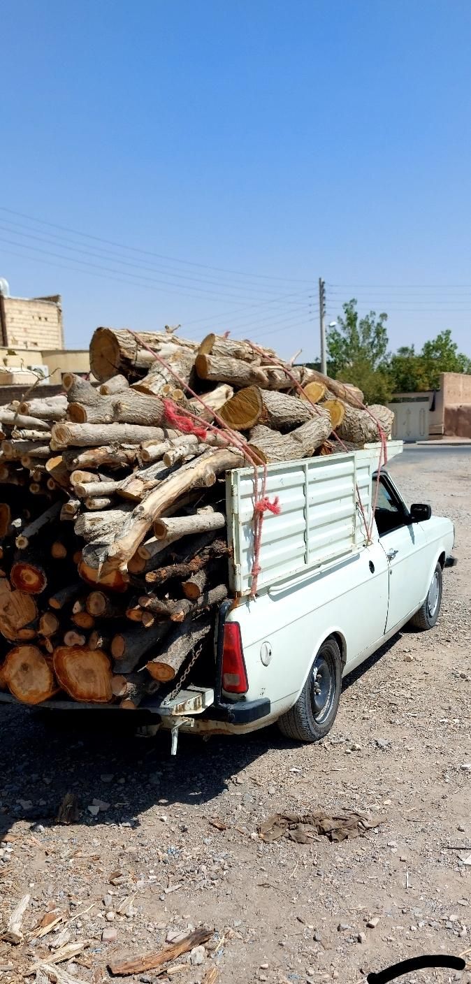 خرید چوب درخت صنوبر کاج توت تیر هیزم|خدمات باغبانی و درختکاری|کاشان, راوند|دیوار