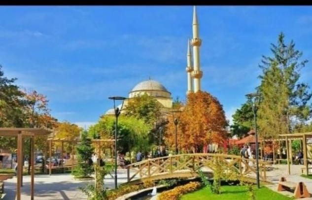 تور وان|تور و چارتر|تبریز, |دیوار