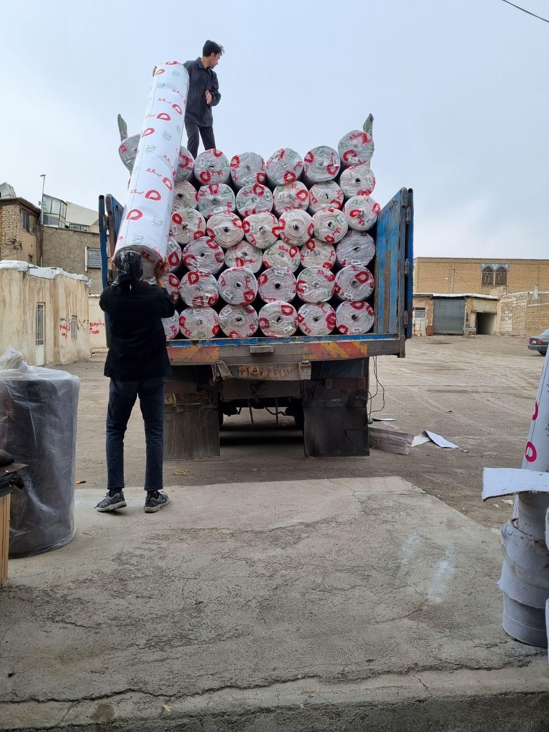 طرح زیبا پالاز موکت|موکت|زنجان, |دیوار