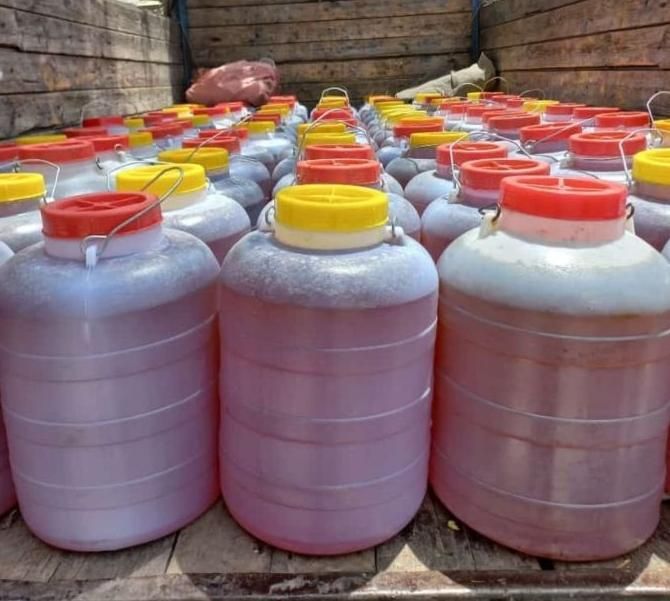 عسل طبیعی بصورت عمده وخرده/گون /چهل گیاه/ کنار|عمده‌فروشی|شیراز, گلشن|دیوار