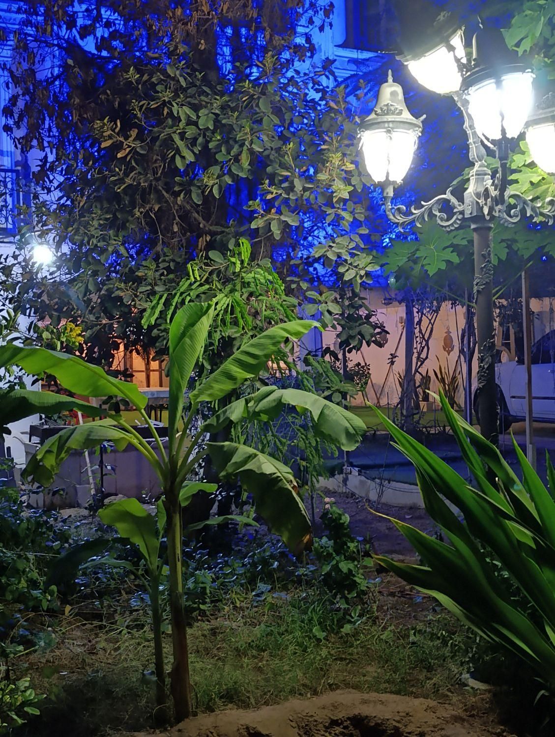 ویلا پسندان|اجارهٔ کوتاهمدت ویلا و باغ|بوشهر, |دیوار