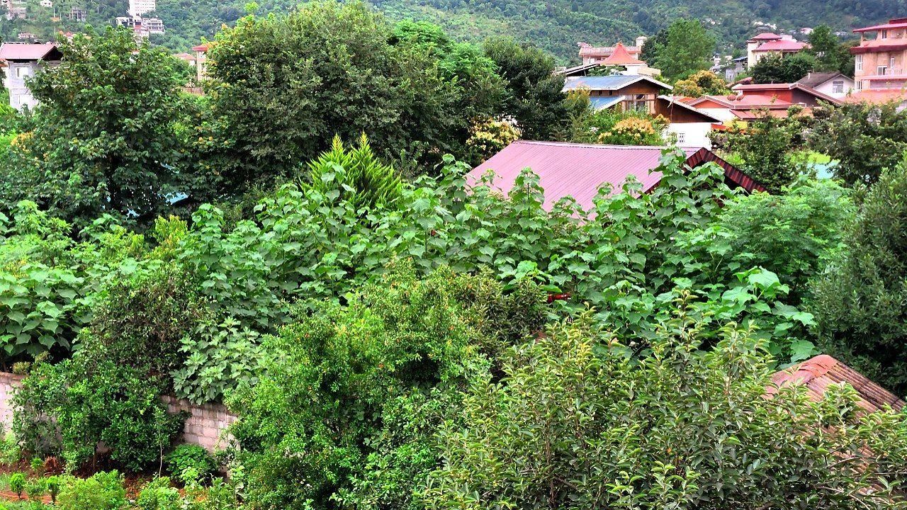 اجاره ویلا (خونه باغ) ۲ خواب دربست کامل تنکابن|اجارهٔ کوتاه‌مدت ویلا و باغ|تنکابن, |دیوار