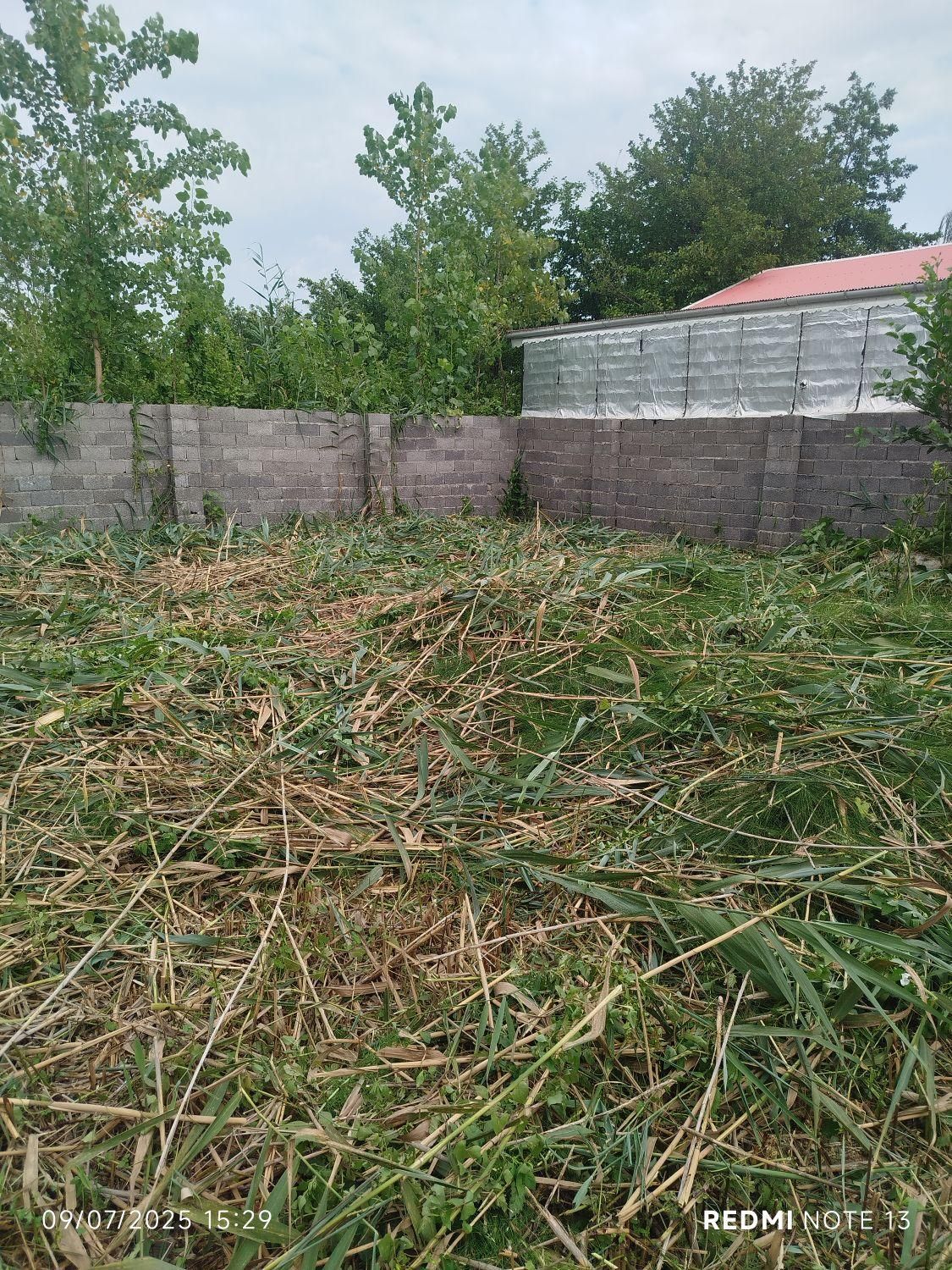 خدمات علفزنی و با دستگاه علفتراش|خدمات باغبانی و درختکاری|سنگر, |دیوار