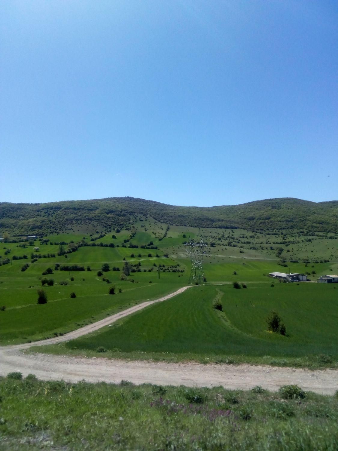 اجاره زمین در کجور کندلوس/کیاکلا/مونج/جاده نیچکوه|اجارهٔ دفتر صنعتی، کشاورزی، تجاری|کجور, |دیوار