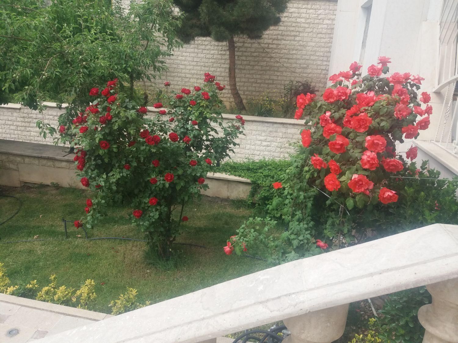 لابی من مجتمع مسکونی (نگهبان)|استخدام سرایداری و نظافت|تهران, ولنجک|دیوار
