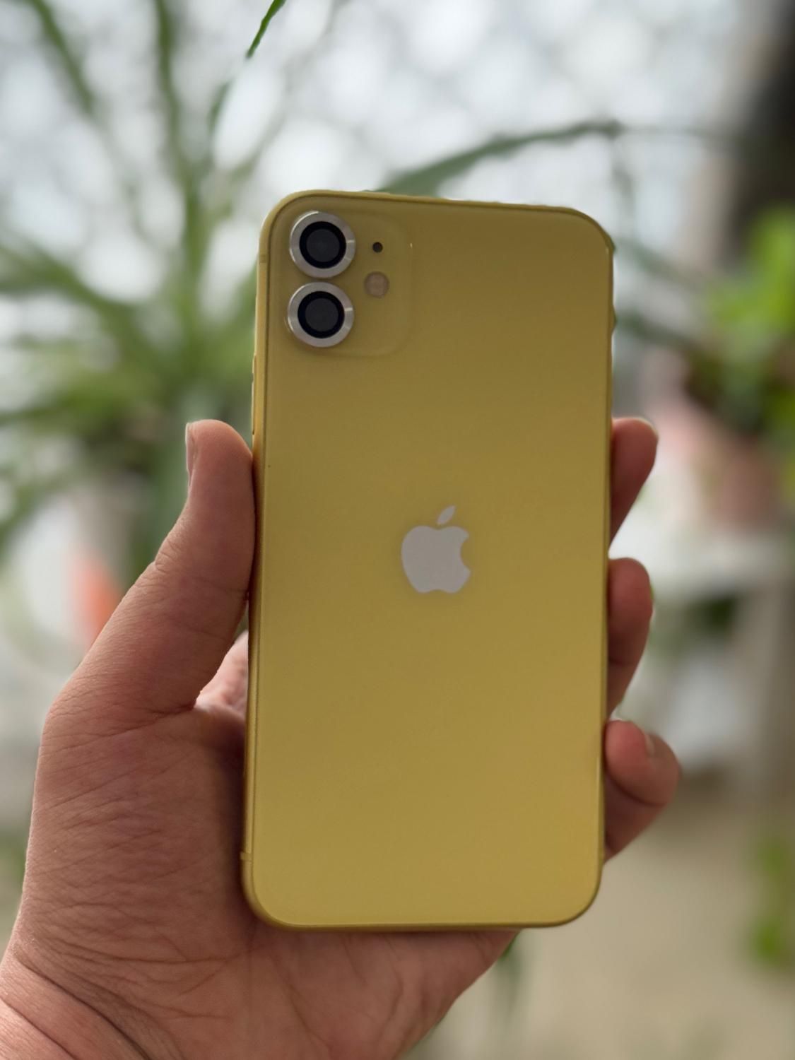 iPhone 11 yellow ایفون|موبایل|تهران, ایران|دیوار