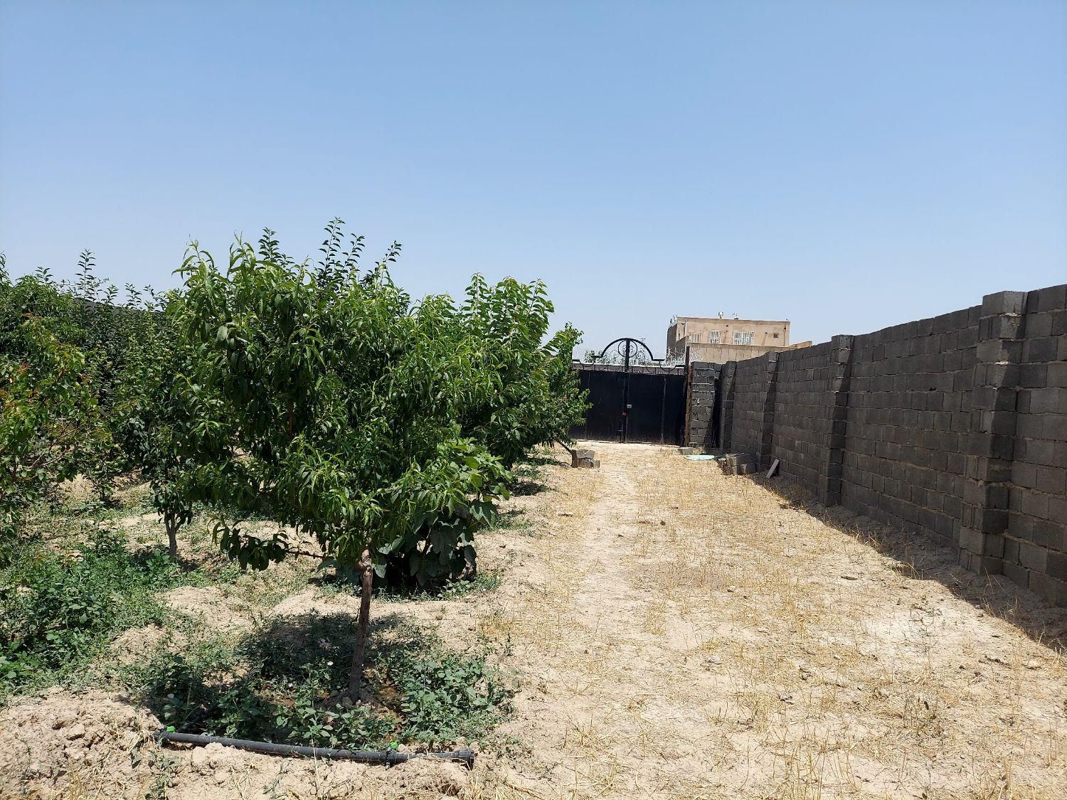 زمین مسکونی ۳۷۵ متر(سند تک برگ) غرب استان تهران|فروش زمین و ملک کلنگی|تهران, جنت‌آباد شمالی|دیوار