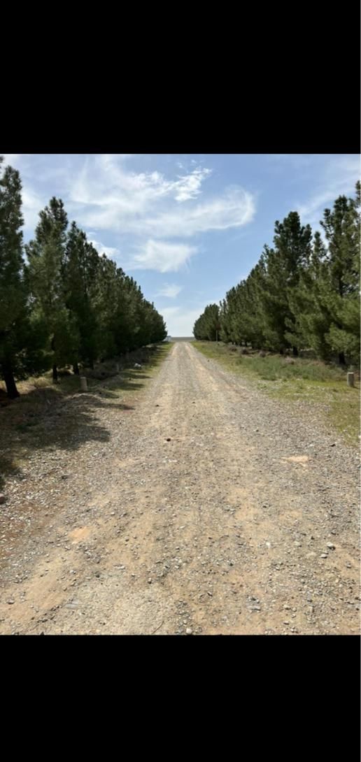 زمین۱۰۰۰متری امکانات قانونی شهرکی (سهیلیه زعفرانیه|فروش زمین و ملک کلنگی|هشتگرد, شهرک سهیلیه|دیوار