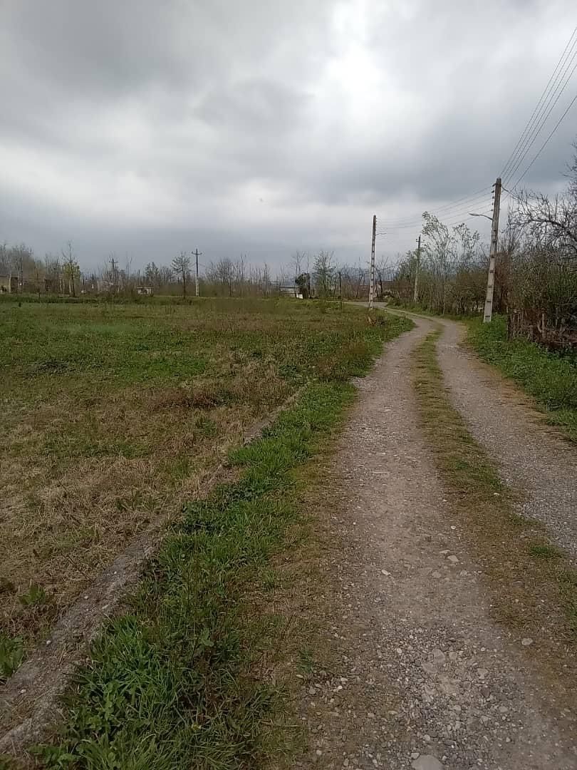 زمین ۱۰۰۰ متر۲۵۰ متر مسکونی سنگردهبنه کد(۳۵۴۳)|فروش زمین و ملک کلنگی|سنگر, |دیوار