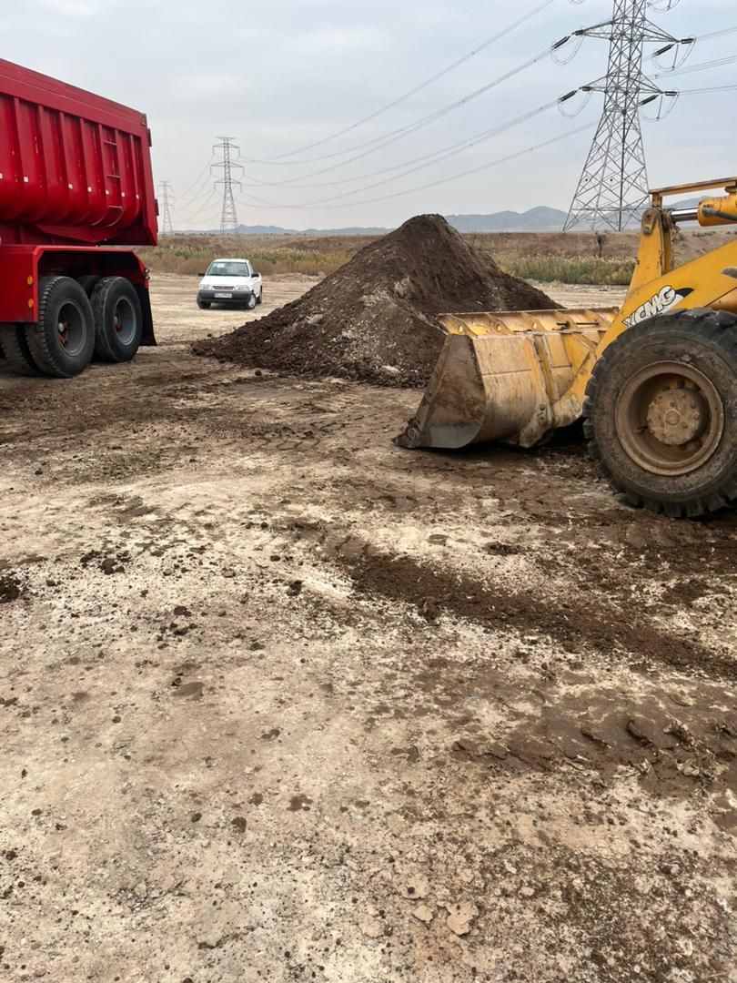 کود مرغی|خدمات باغبانی و درختکاری|صفادشت, |دیوار