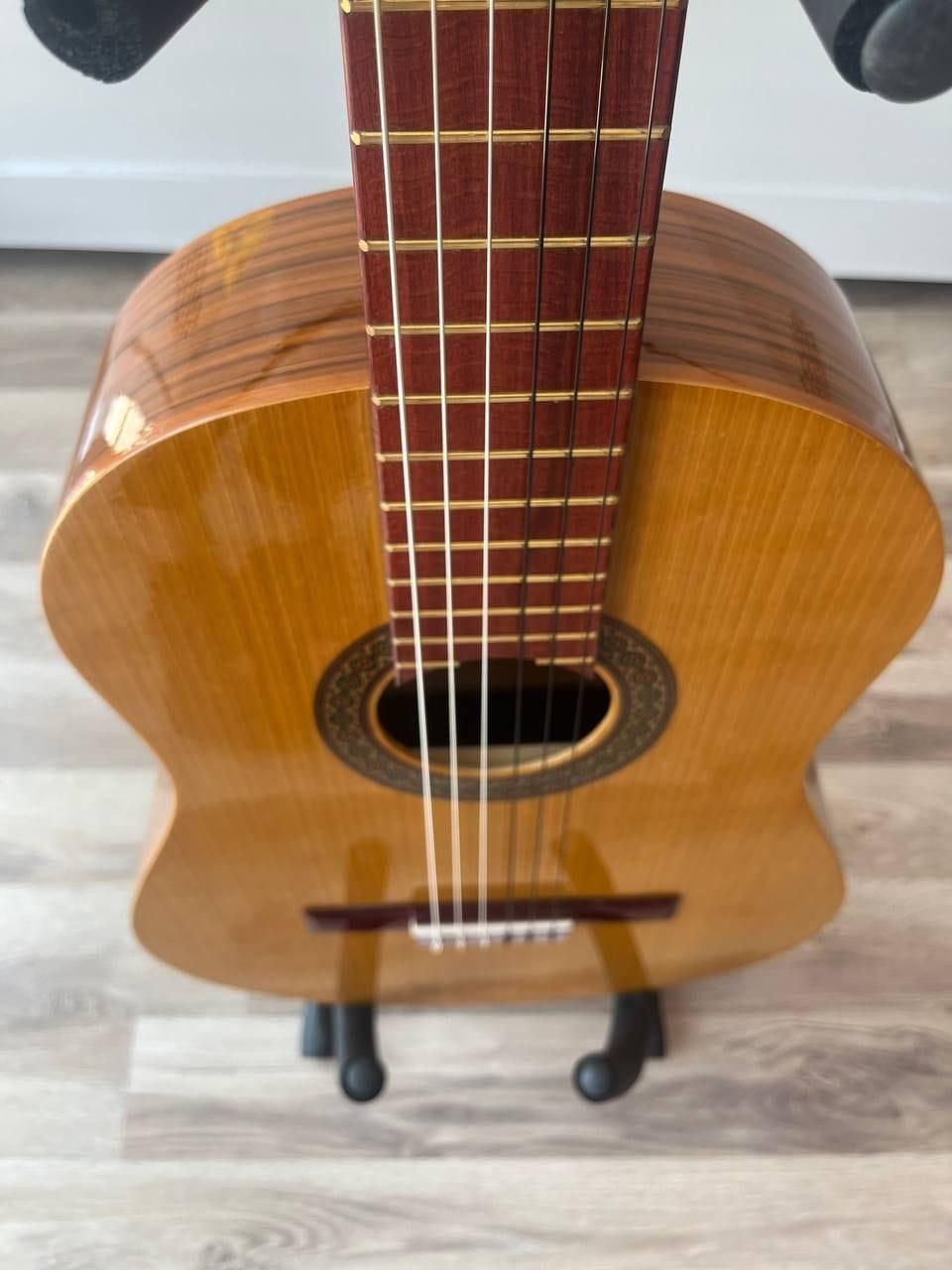 فروش ویژه آلات موسیقی شرایطی|گیتار، بیس، امپلیفایر|تبریز, |دیوار