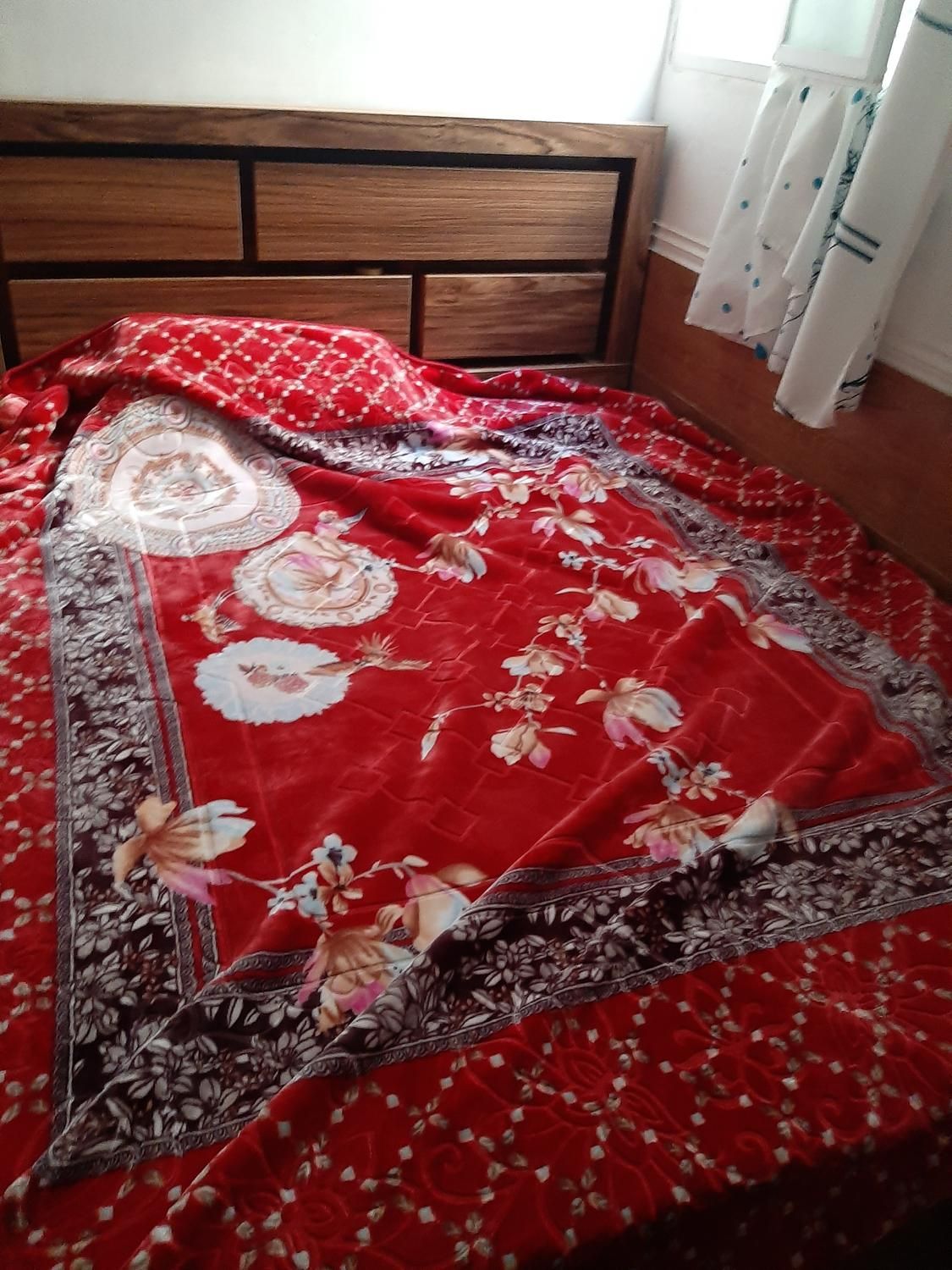منزل مبله تمیز واقع در صدرا فاز یک|اجارهٔ کوتاه‌مدت آپارتمان و سوئیت|صدرا-فارس, |دیوار