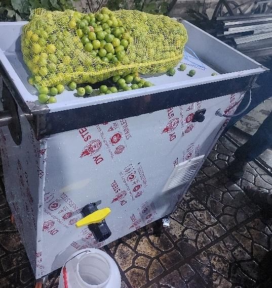 دستگاه،فول مطمئن،آبغوره-گیر آبلیمو-گیریk1آبگوجهH5|خردکن، آسیاب، غذاساز|تهران, تهران‌سر|دیوار