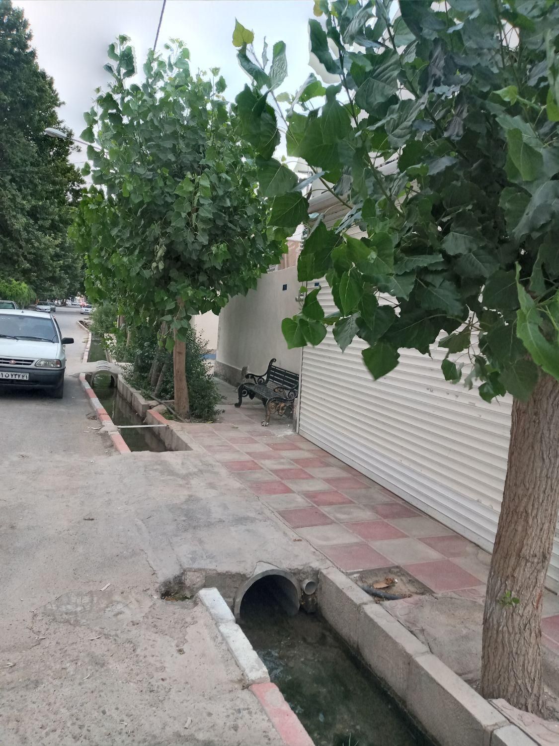 سوله و گلخانه|فروش دفتر صنعتی، کشاورزی، تجاری|پاکدشت, |دیوار