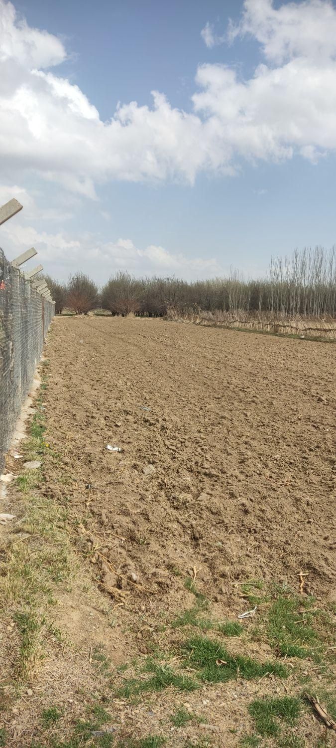 فروش زمین کشاورزی منصور کندی(1230متری)|فروش دفتر صنعتی، کشاورزی، تجاری|میاندوآب, |دیوار