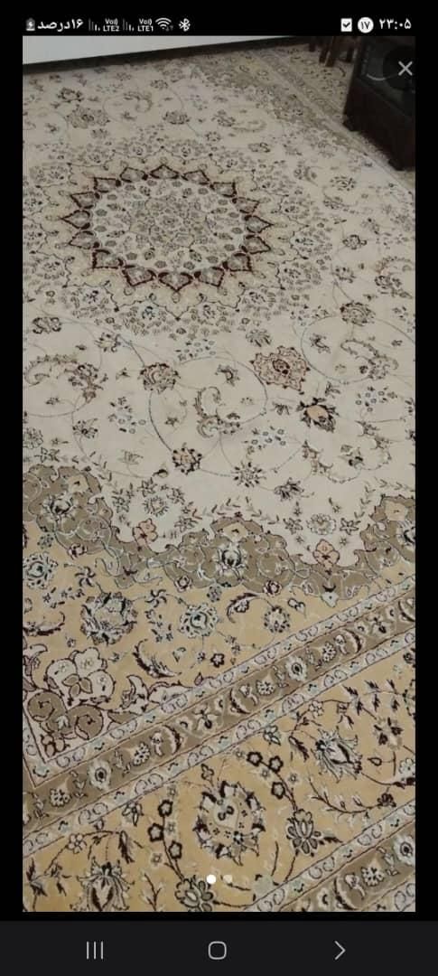 حراجی|فرش|فسا, |دیوار