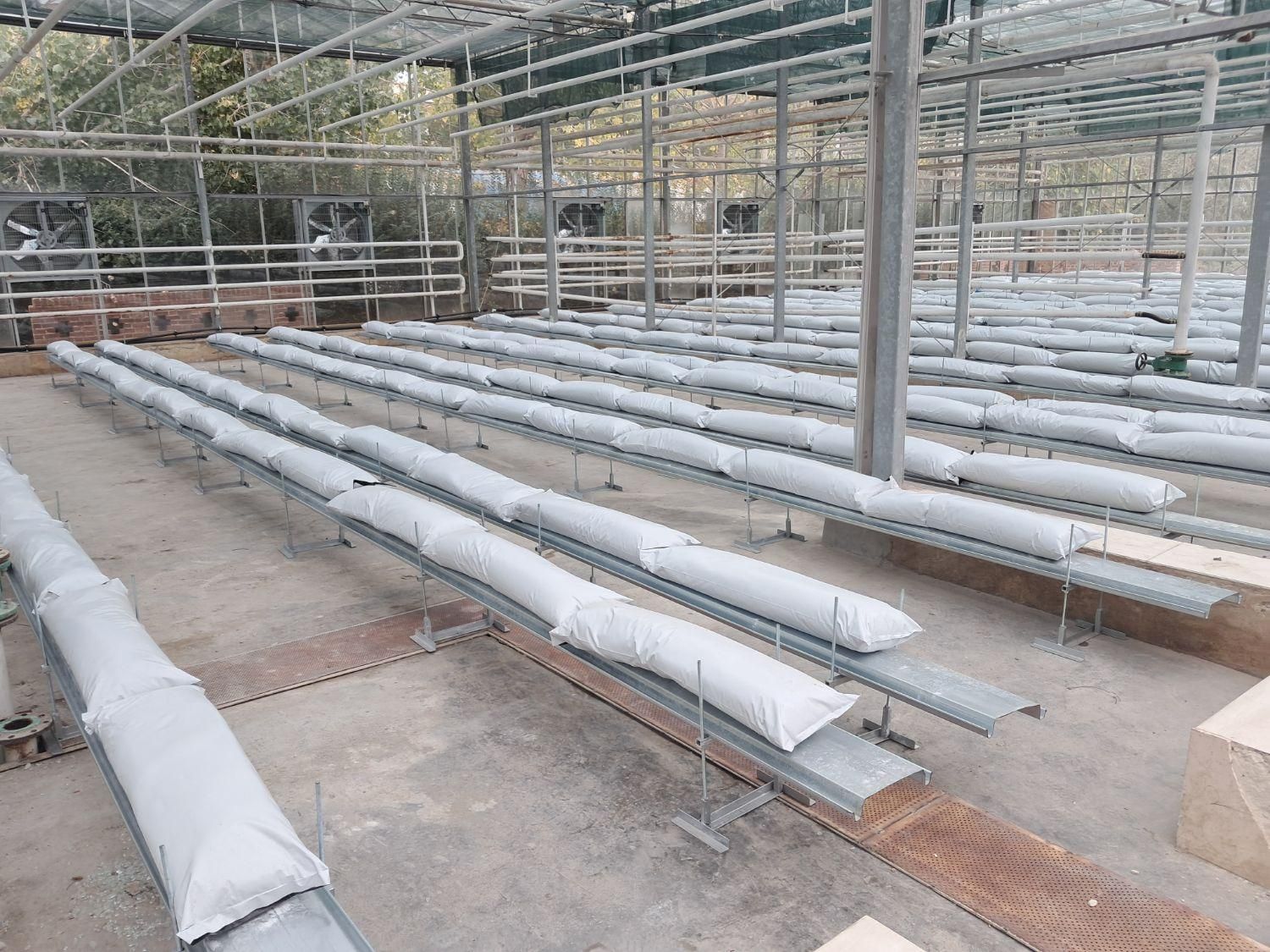 گلخانه از صفر تا صد|خدمات باغبانی و درختکاری|کرج, گوهردشت|دیوار