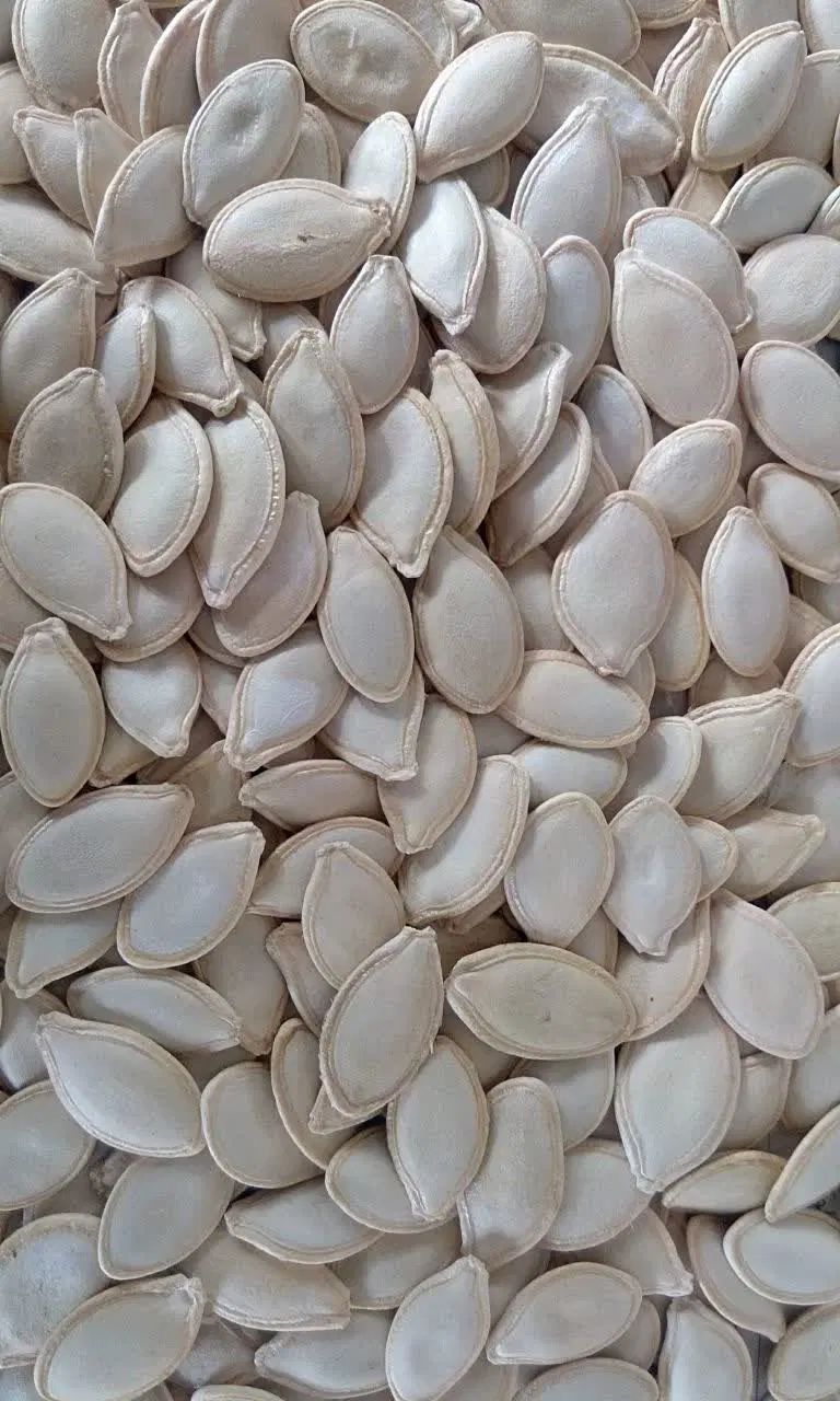 تخمه کدو  ( خام ) ۴۲۹/۰۰۰          درمان پروستات|خوردنی و آشامیدنی|قم, ولیعصر|دیوار