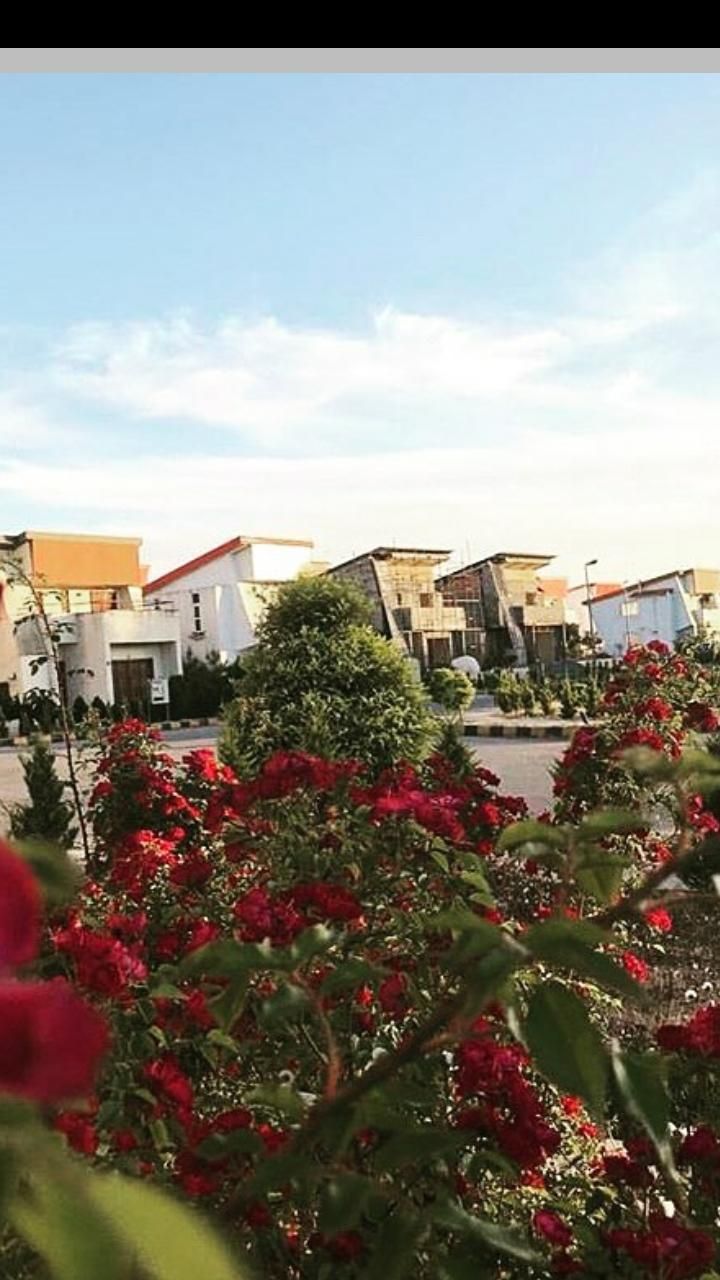 ۳۰۰متر زمین در شهرک ساحلی قناری چپکرود|فروش زمین و ملک کلنگی|جویبار, |دیوار